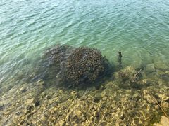 景点-淇河国家湿地公园