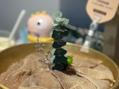 -巴奴毛肚火锅概念餐厅