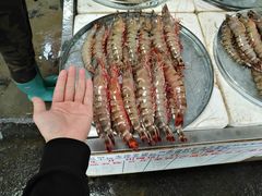 -The Crab Pot Seattle