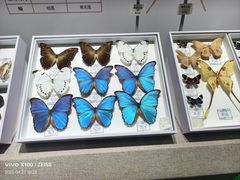 -烟台市博物馆