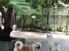 -TrueLove @ Neverland (Husky Cafe)