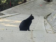 -宝通禅寺