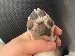 -comecome来吧宠物(奥克斯中心店)