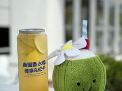 -冰椰岛椰冰(亚龙湾店)