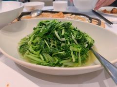 上汤鸡毛菜-松鹤楼·非遗·苏帮菜(融科店)
