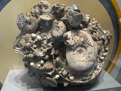 -湖南省地质博物馆