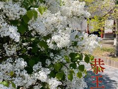 -恭王府博物馆