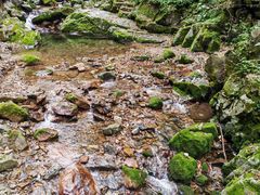 -本溪汤沟绿石谷森林公园