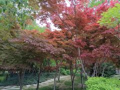 -郑州植物园