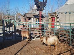 -海拉尔蒙古包(房山长阳店)