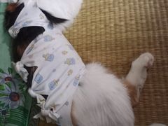 -纳吉亚猫专科动物医院博雅分院