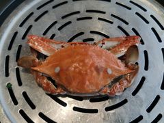 -大锅强·蒸海鲜青岛菜(金沙滩店)