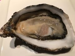 -普朗姆生蚝吧(原建国路店)