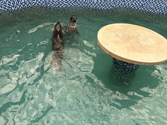 -长春农博园