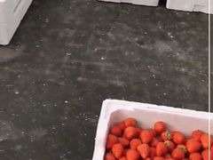 -西郊国际农产品交易中心