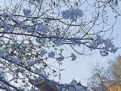 -鸡鸣寺