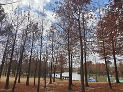 -上海长兴岛郊野公园