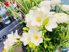 -FEI FEI FLOWER鲜花店·气球派对·宝宝宴布置(虹口德必运动Loft店)