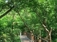 -南京市江宁方山