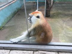 -宁波野生动物园
