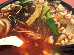 -瑞鹏宠物医院·爱宠堂·骨外专科(西荷分院)