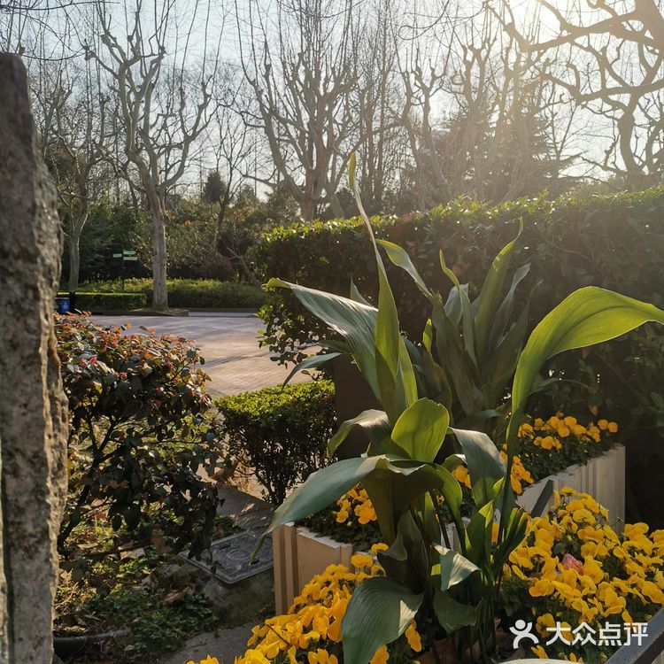 开放时间8点到17点，只能从重庆南路那扇正门进入