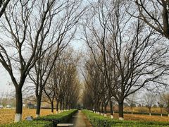 -汉景帝阳陵博物院