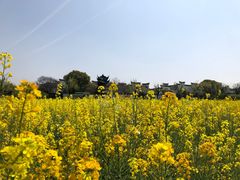 -广富林郊野公园