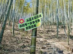 -东明山森林公园