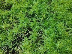 -终南山南五台景区