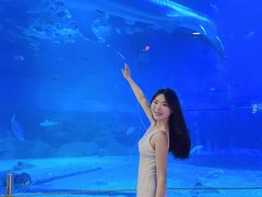 -烟台海昌鲸鲨海洋公园