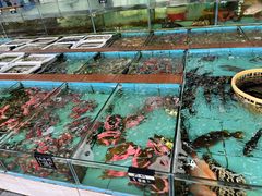 -景好海鲜餐厅(大鹏必选旅游店)