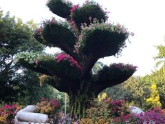 -广州雕塑公园