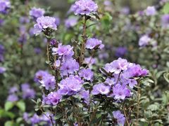 -南京金牛湖风景区