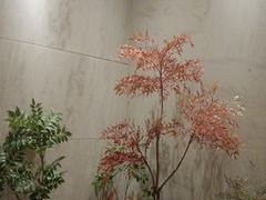 -阿五黄河大鲤鱼(纬三路店)