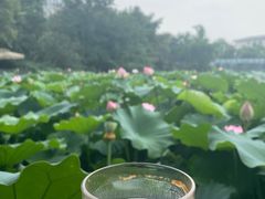-莫催咖啡