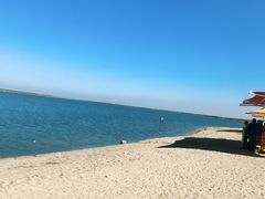 -呼兰河口湿地公园
