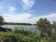 -上海长兴岛郊野公园