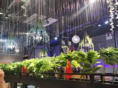 -杨记齐齐哈尔烤肉(五莲路店)