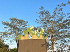 -大湾区中央湿地公园