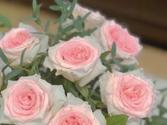 -循礼门鲜花花市(武汉循礼门店)