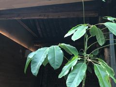 -VOYAGE COFFEE(北锣鼓巷店)