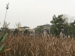 -两河城市森林公园