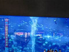 -成都浩海立方海洋公园