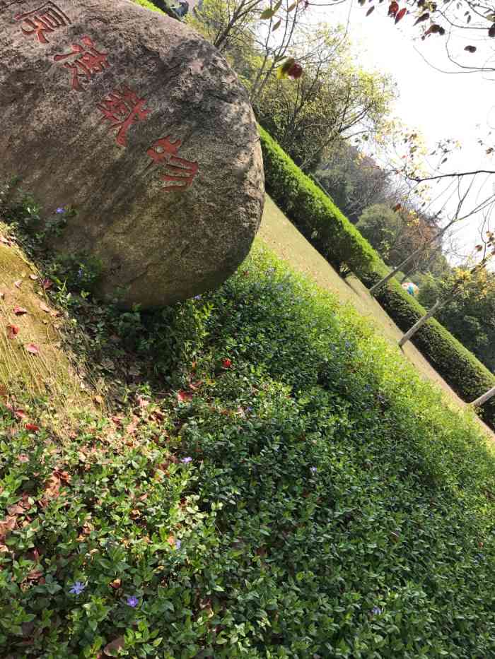 江东公园-"公园比较干净,有儿童乐园,还有人工小沙滩.