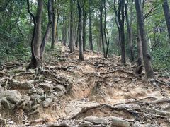 -火炉山森林公园