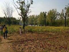 android_upload_pic-云幽谷旅游区