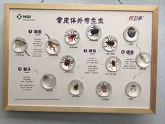 -瑞派宠物医院·中兽医专科(中央商城分院)