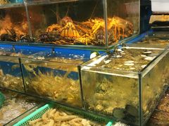-岳各庄批发市场(西四环中路店)