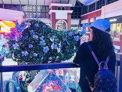 -王府井奥莱棋盘山小镇